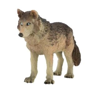 Authentic Wolf Figure Model For Nature Science Education And Collectors Display In Safe Plastic Exhibition Model