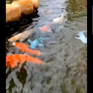 Đồ chơi cá mập điều khiển từ xa dưới nước RC 2.4G cho bé chống thấm nước