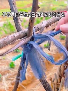 100M Garden Tie Wire With Cutter Twist Tie For Garden Vegetable Plants With Free Cable Tires Durable