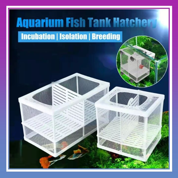 Happy Pet Fish Tank Breeding Breeder Isolation Box Aquarium Hatchery