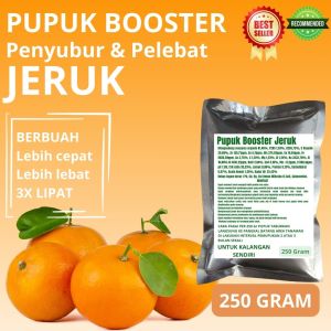 Pupuk Booster Jeruk / Obat Booster Buah Jeruk / Pupuk Booster Buah Jeruk / Pupuk Buah Jeruk