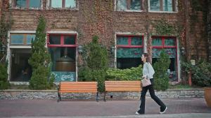 C01s Foldable Stainless Steel Tripod Selfie Stick With Remote