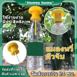 Fruit Fly Trap K-iller Plastic Geel Drosophila Val Fly Catcher Pest Insect Control Voor Home Boerderij Boomgaard 6*6*2 cm