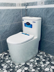 L.Hê Freeship Bồn cầu liền khối thế hệ mới sang trọng men AQUA CERAMIC kháng khuẩn cao cấp Xả xoáy kết hợp đẩy cực mạnh - Bảo hành 15 năm