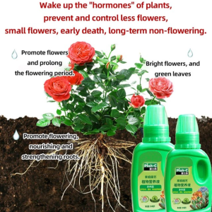 Concentrated flower fertilizer for potted pothos
