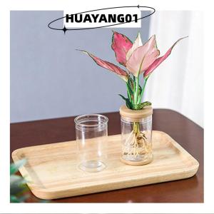 HUAYANG01 [2023 new HOT FASHION] Lazy Transparent Flowerpot Hydroponic Automatic Water Absorption Flowerpot