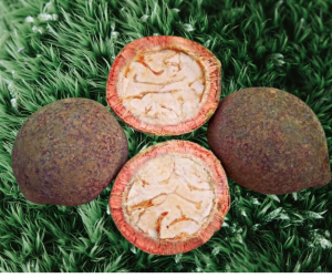 TABON TABON for Kinilaw Food