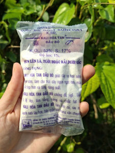 [THIEN THINH SHOP] Phân Bón Lá Giúp Ra Hoa Đậu Trái Chắc Hạt Chống Đổ Ngã- Kali Hòa Tan Đầu Bò 100GR