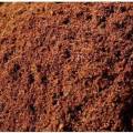 cocopet/cocopeat/media tanam sabut kelapa. 