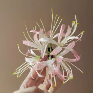 Salime Super Delicate Flower Hair Clip Seaside Atmosphere Clip Photo Hair Accessories Duckbill Clip Lily Hairpins Side Clips
