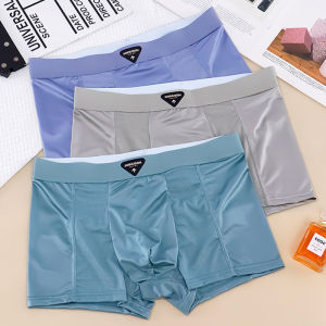 ANDERSON TALISCA New Solid 1pcs/3pcs Underwear Men Boxer Hot Soft Underpant Man Penis Mens Boxers Boxershorts Size L-3XL ZQL5909