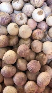 1Kg Tỏi cô đơn hàng ngon khô và không bị hỏng