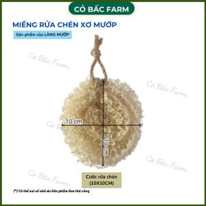 Miếng rửa chén xơ mướp tự nhiên nhiều kích thước Mr.Mướp Làng Mướp – CỎ BẤC FARM