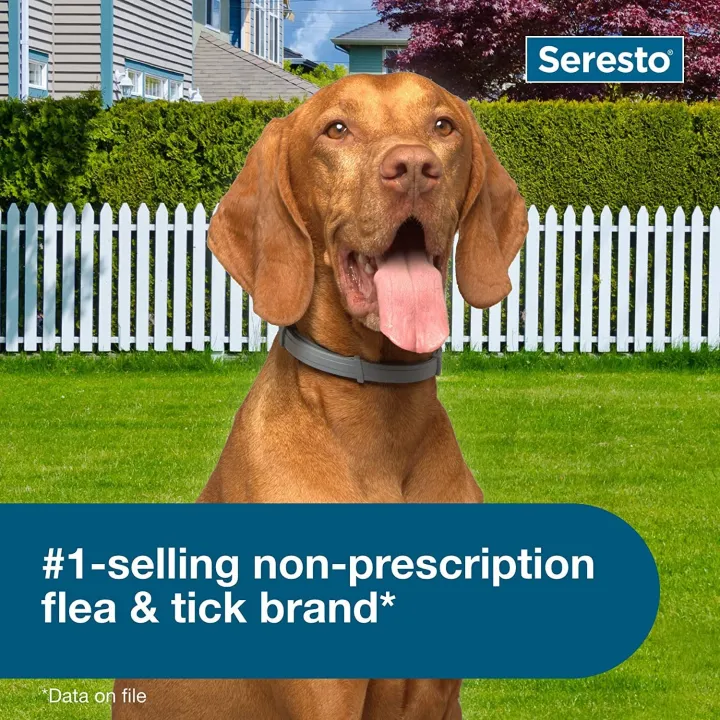 Seresto%20Elanco%20Repellent%20collar%20for%20Cat%20Small%20Dog%20Antiparasitic%20Adjustable%20Puppy%20Kitten%20Collar%20Breakaway%20Pet%20Accessories%20-%20Image%204
