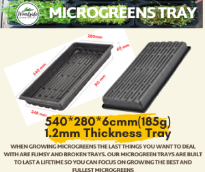 1.2mm Seeds Germination/Propagation Tray Without Holes for Seedlings Germination of Microgreens  Vegetable/Herbs & Fruits SHip from Sg