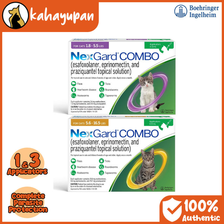 Nexgard Combo Complete Parasite Protection for Cats | Lazada PH