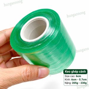 Băng keo ghép cành tự dính chất liệu nhựa PE bản 3cm 6cm 10cm