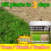 kill grass herbicide 500g Powerful Grass Tree Killer Tree And Bamboo Remover particle dispersion effect fast herbicide round up grass killer demolition grass killer clearout grass killer herbicide for grass killer pamatay ng damo Hexazinone root removal