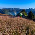 [EVoucher Vietravel] Đông Bắc: Hà Giang - Lũng Cú - Đồng Văn - Mã Pí Lèng - Cột Cờ Lũng Cú. 
