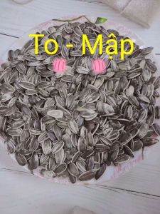 Hướng dương rang chín- Cho Người- Hàng nhập Khẩu (500gr)