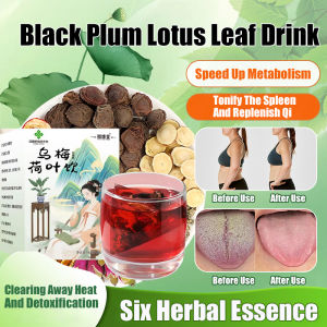 Herbal Tea Plum Lotus Leaf Drink Healthy Tea Official Selection of Ume and Lotus Leaf Drinks Six Flavors
