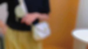 #8005 Irene Novy nd New Korean Fashion High-Quality Two in One Slung Luxury Shoulder Sling Bag
