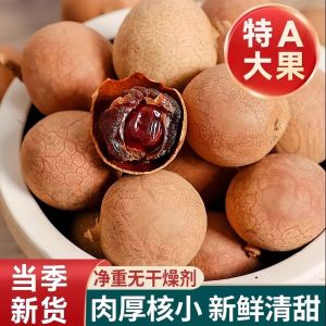 Instant Dried Longan Dried Fruit 桂圆干龙眼肉滋补气血桂圆肉健脾助眠肉厚煮粥即食泡水果干
