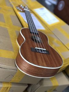 Đàn ukulele gỗ mahogany size concert 63cm - tặng kèm bao phím và sách học - Bảo hành 1 năm