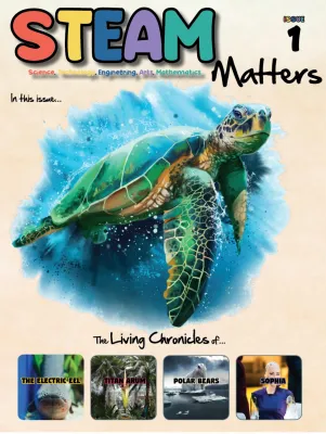 STEAM Matters Magazine (Age 9-12) - Issue 1 (Science Technology Engineering Arts Mathematics Books / Magazines) Science/Math Assessment Books/Educational Magazines - K1 K2 P1 P2 (27050580)