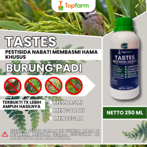 Obat Pembasmi Burung Pada Padi / Obat Semprot Padi Hama Burung /  Obat Pengusir Burung Pada Padi / Obat Padi Hama Burung Pipit / Obat Burung Padi