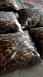 Combo 3kg trà sơn mật hồng sâm loại thượng hạng giúp mát gan tiêu hóa tốt.