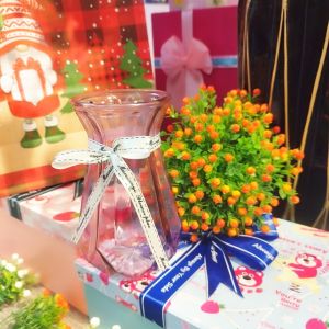 Bình Hoa Thủy Tinh Mini Cắm Hoa Decor Trang Trí Nhà Cửa Tặng Kèm Nơ Cực Xinh