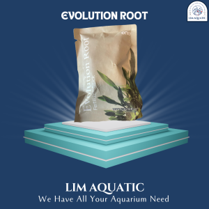 EVOLUTION ROOT / PUPUK TANCAP AQUARIUM AQUASCAPE