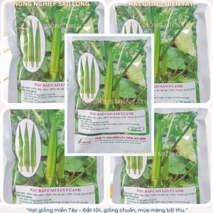 HẠT GIỐNG ĐẬU BẮP SH27 SEN HỒNG - Trái có màu xanh nhạt siêu trái siêu năng xuất.