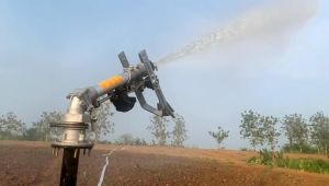 SPRINKLER BESAR BIG GUN SIME CRONUS UKURAN 2 INCH