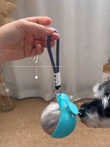 Portable Dog Water Bottle 285ML Stainless Steel Travel Dog Water Dispenser Foldable Silicone Bowl