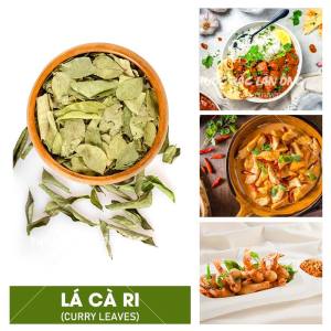 Lá cà ri Ấn Độ curry leaves gia vị nấu cà ry cari khô thơm - Lãn Ông