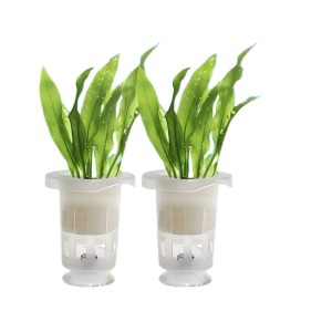 10pcs Aquatic Plant Holder Set Aquarium Planting Pot Kit for Landscape Decoration