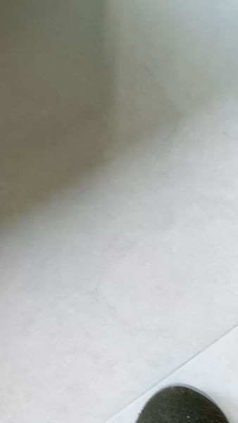Buyer review video 2