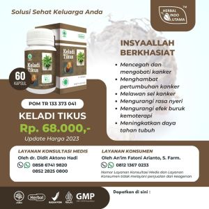 HIU Ekstrak Keladi Tikus Isi 60 Kapsul Obat Herbal Kanker Dan Tumor Alami Tanpa Efek Samping
