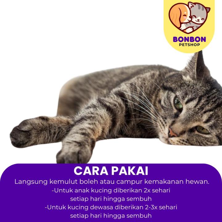 Obat%20Diare%20Primacat%20Drop%20Obat%20Kucing%20Anti%20Diare%20Mencret%20Cat%20Kitten%20PRIMA%20CAT%20-%20Image%203