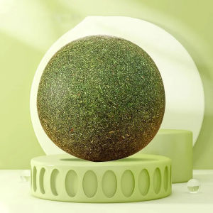 ลูกตีนแมว ลูกแมวมิ้นท์ ลูกตีนแมว ขนมขบเคี้ยวแมว เลียผนังลูกตีนแมว เพื่อให้แมวผ่อนคลายอารมณ์ ลูกตีนแมว