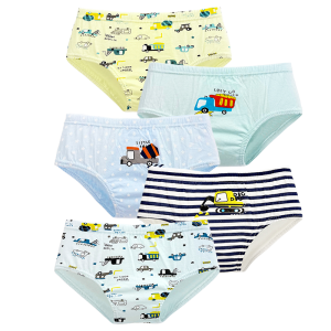LJMOFA 5 Pcs Kids 100% Cotton Briefs Cartoon Dinosaur Soft and Cozy Underwear for Boy Baby 2-12 Yrs