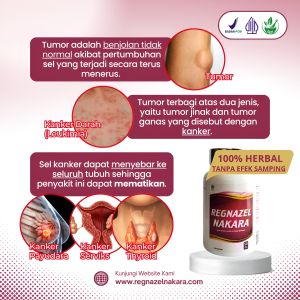 REGNAZEL NAKARA OBAT KANKER PAYUDARA BENJOLAN TUMOR HERBAL ALAMI PALING AMPUH AMAN TANPA EFEK SAMPING