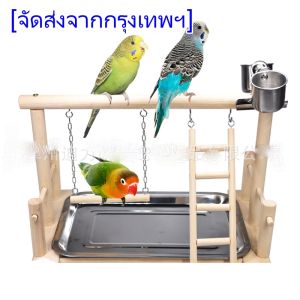 ชุดอุปกรณ์คอนนกและถาดสแตนเลสรองเศษอาหาร คอนยืนนกแก้ว