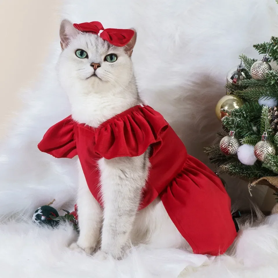 Cat dress outlet christmas