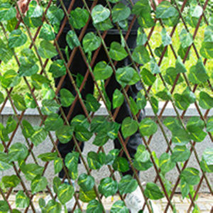 Expandable Privacy Fence Keep Your Outdoor Space Secluded