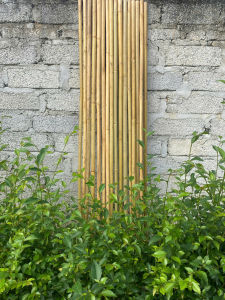 25 Cọc Tre làm giàn cho cây leo giàn bầubídưa leo đậulàm hàng ràolàm giàn sân thượng ban công derco quán tre làm đồ thủ công.