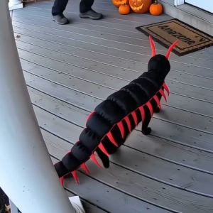 Trang phục thú cưng rết đa chân hài hước Chó mèo cosplay kostum haiwan mới lạ trang phục halloween lên