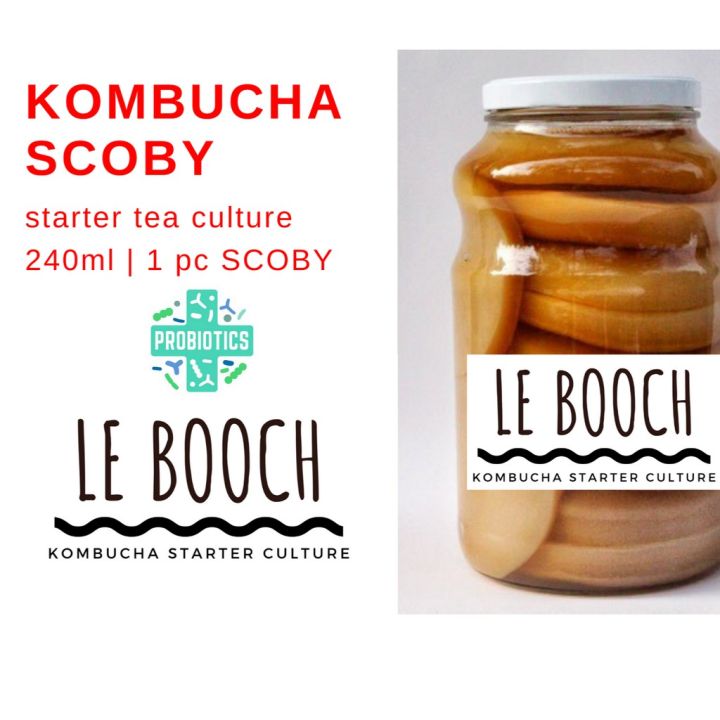 Soby Tea Kombucha SCOBY w/ Starter Tea | Lazada PH